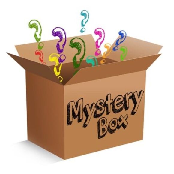 Target Other - NWT Electronic Mystery Box
